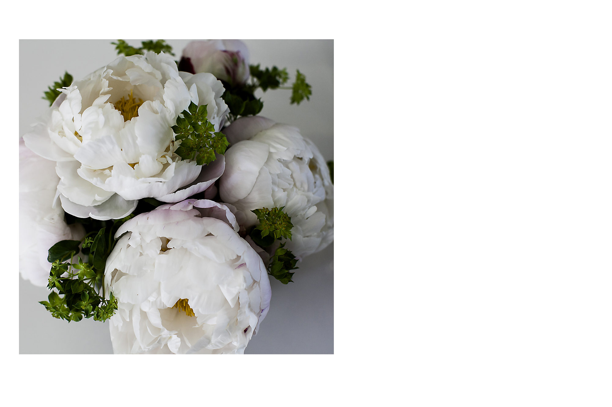 peonies