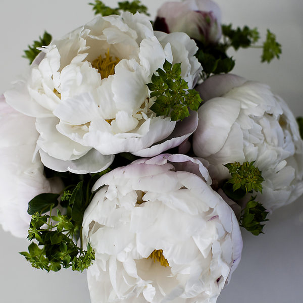 peonies
