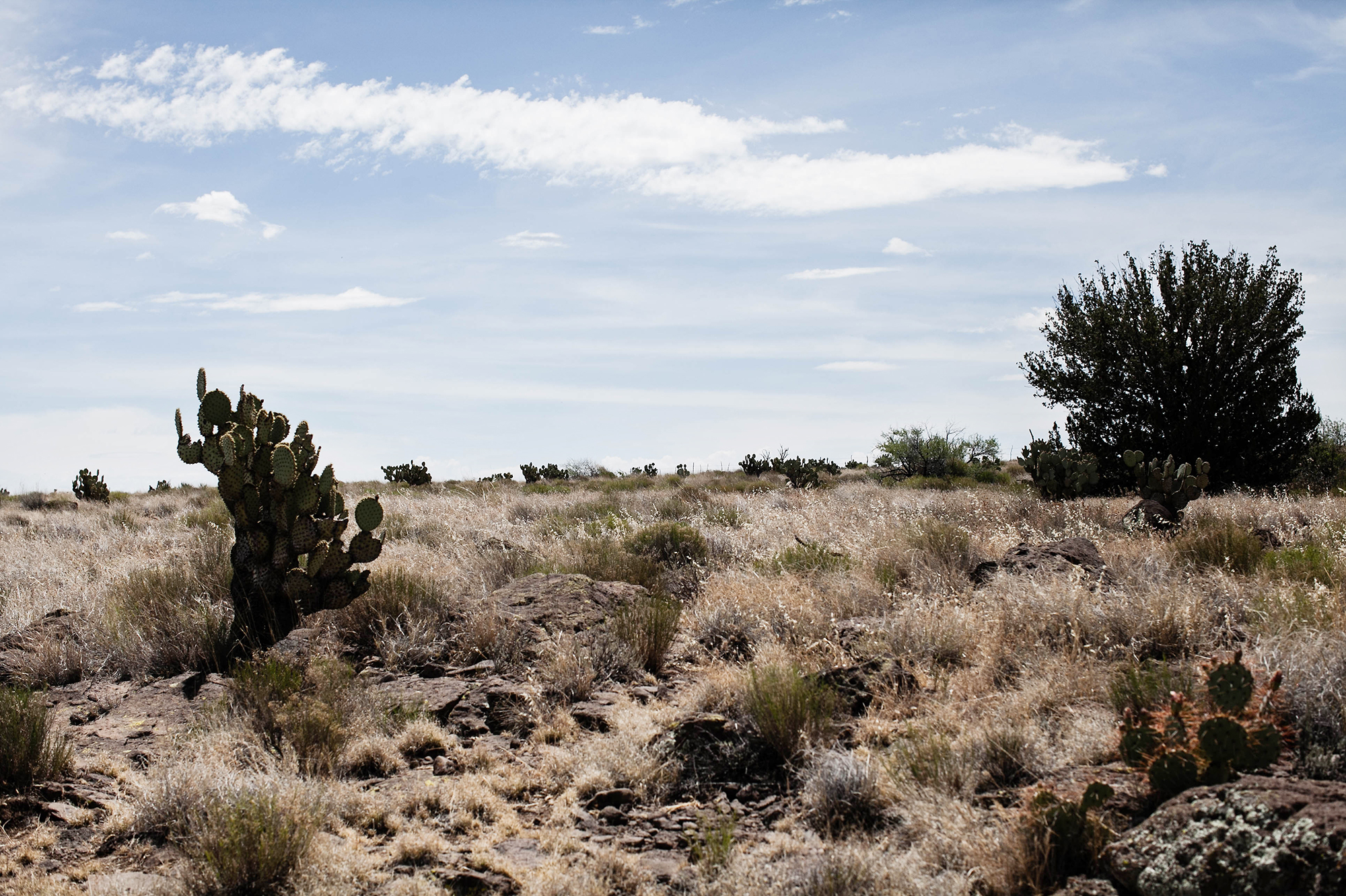 arcosanti 1