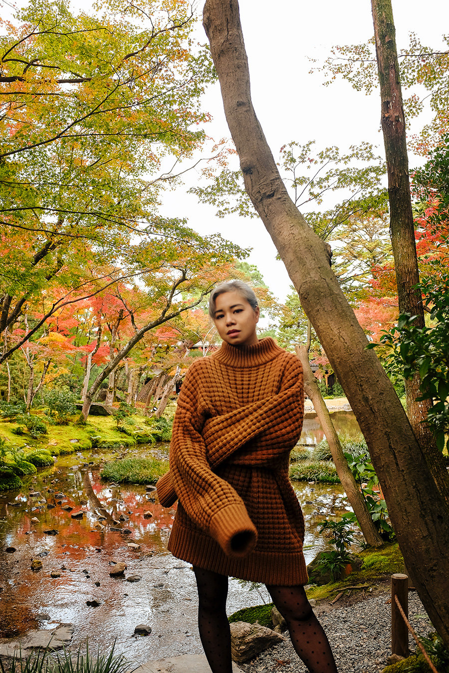 Kyoto garden autumn colors