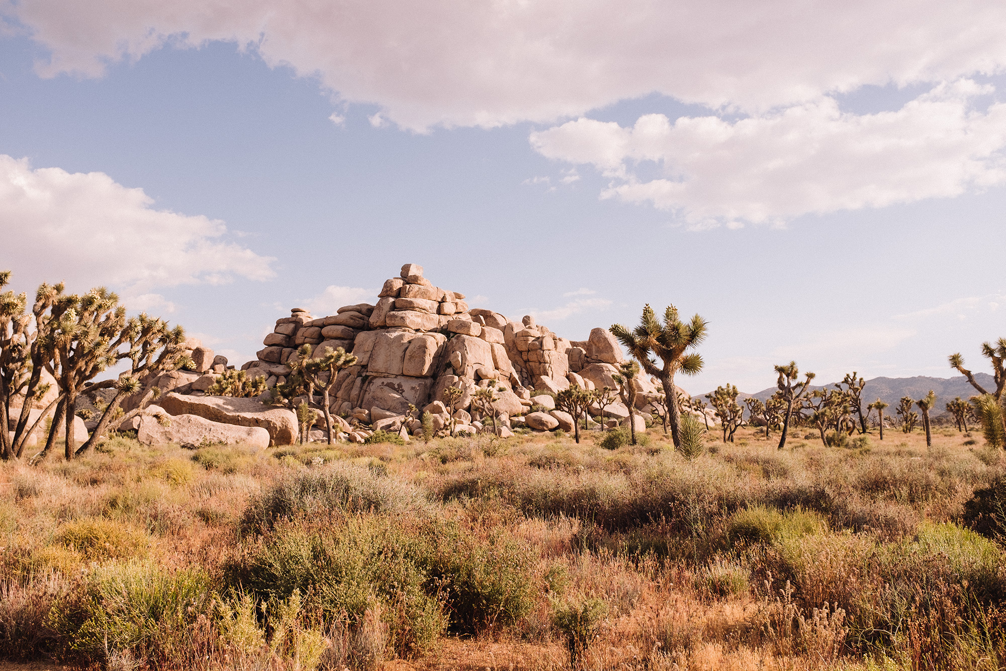 joshua tree rocks