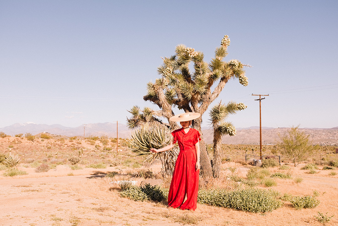 joshua tree vintage